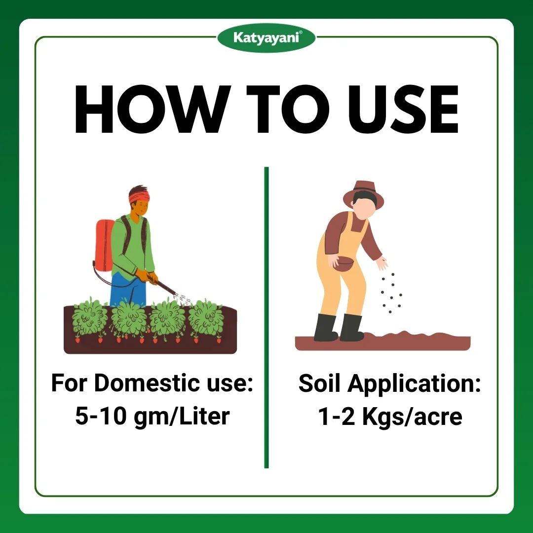 Katyayani Metarhizium Anisopliae | Powder Bio Insecticide - Image 5