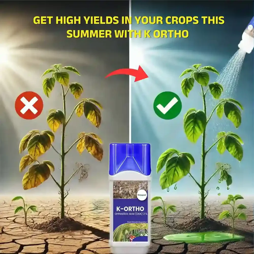 Katyayani K-Ortho | Orthosilicic Acid (OSA) 2% | Plant Growth Regulator
