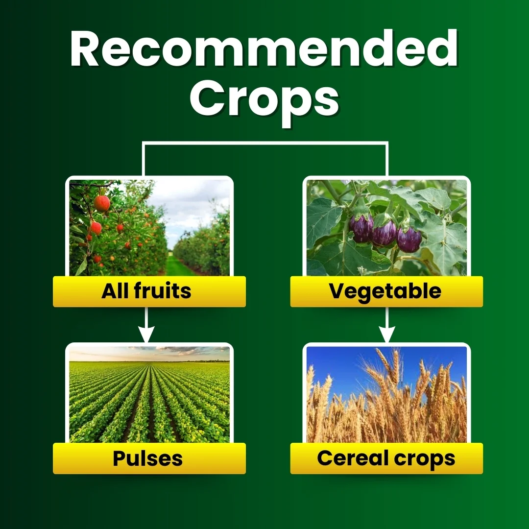 Katyayani Triple Attack (VBM - Verticillium Lecanii + Beauveria Bassiana + Metarhizium Anisopliae Bio pesticide) - Image 4