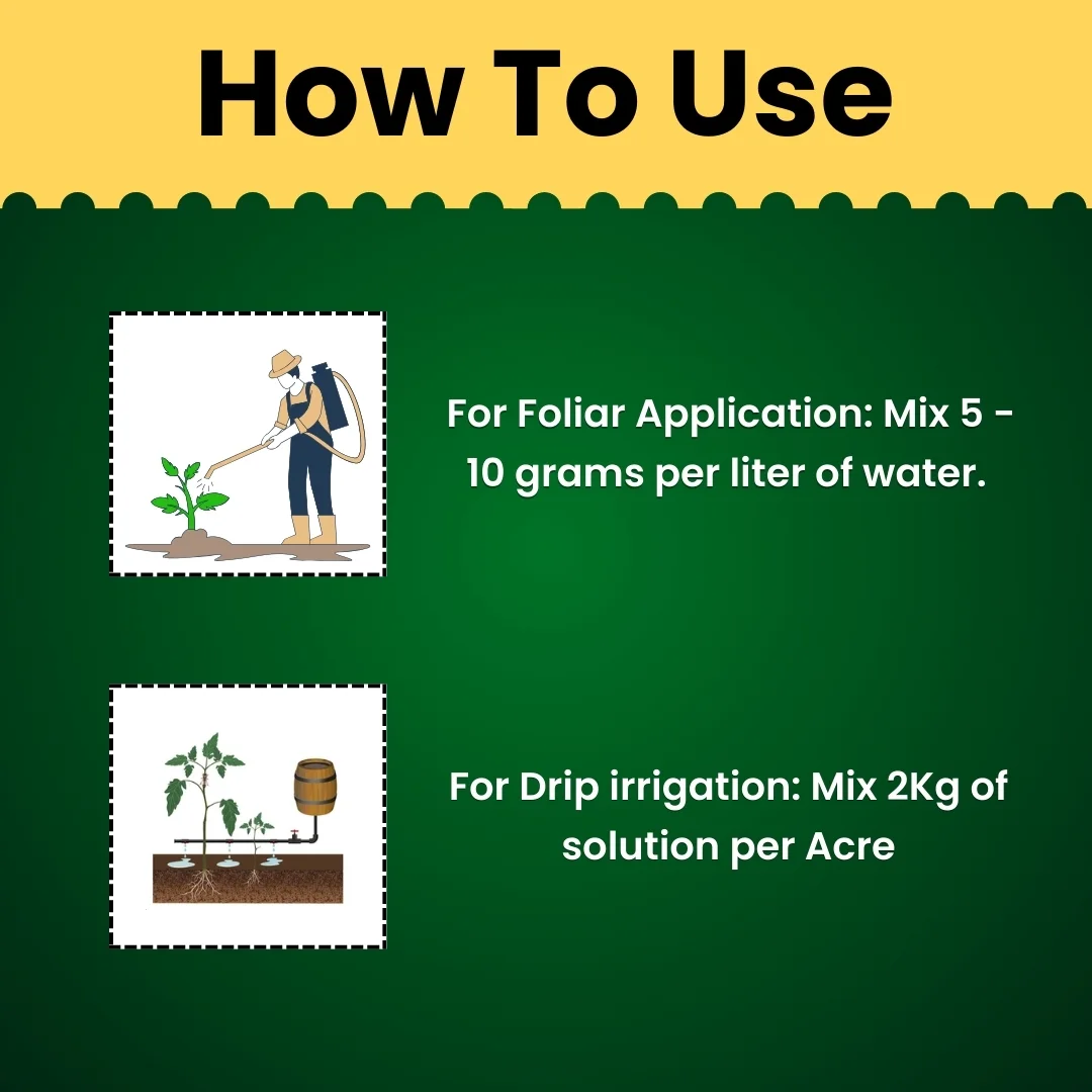 Katyayani Triple Attack (VBM - Verticillium Lecanii + Beauveria Bassiana + Metarhizium Anisopliae Bio pesticide) - Image 5