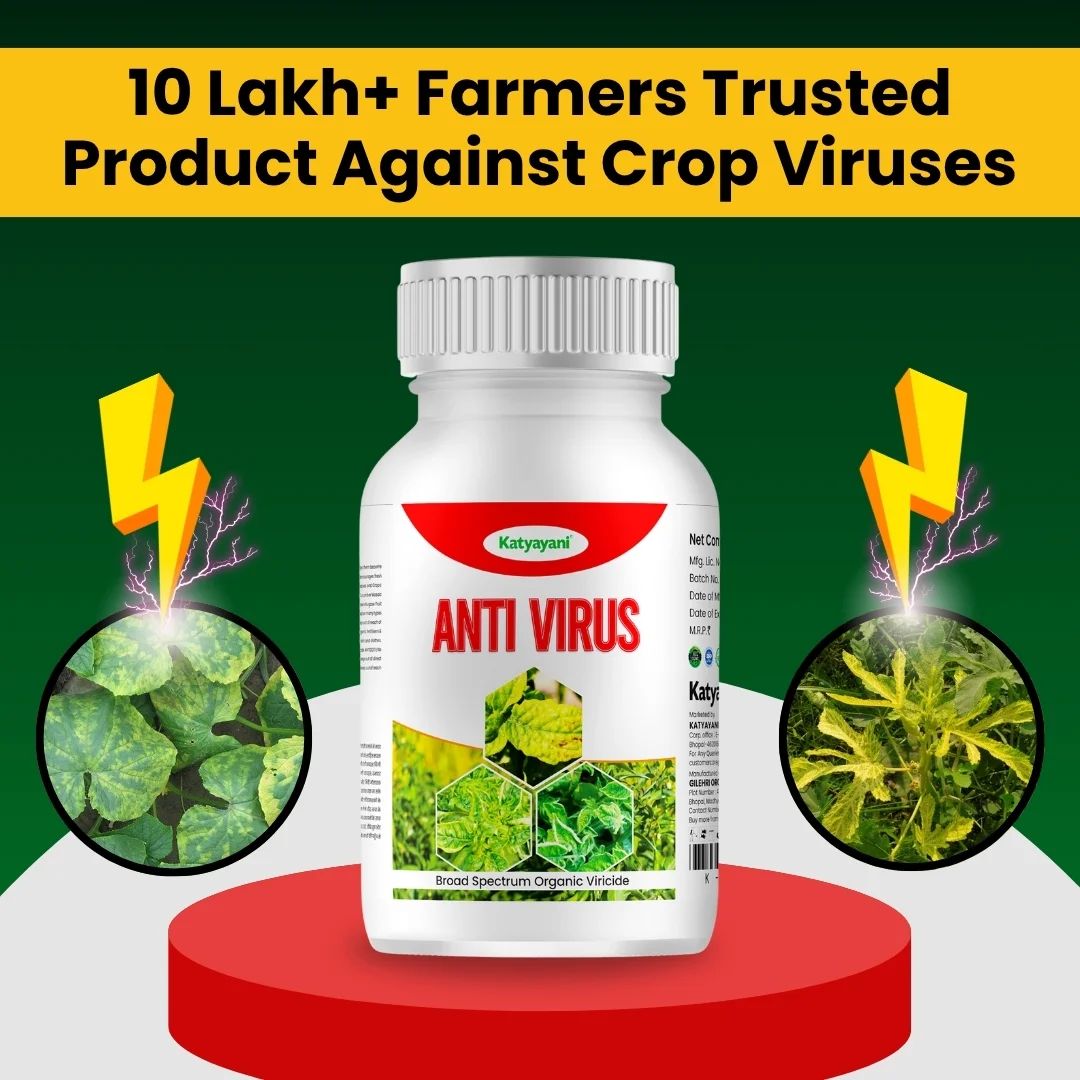 KATYAYANI ANTIVIRUS - Image 2