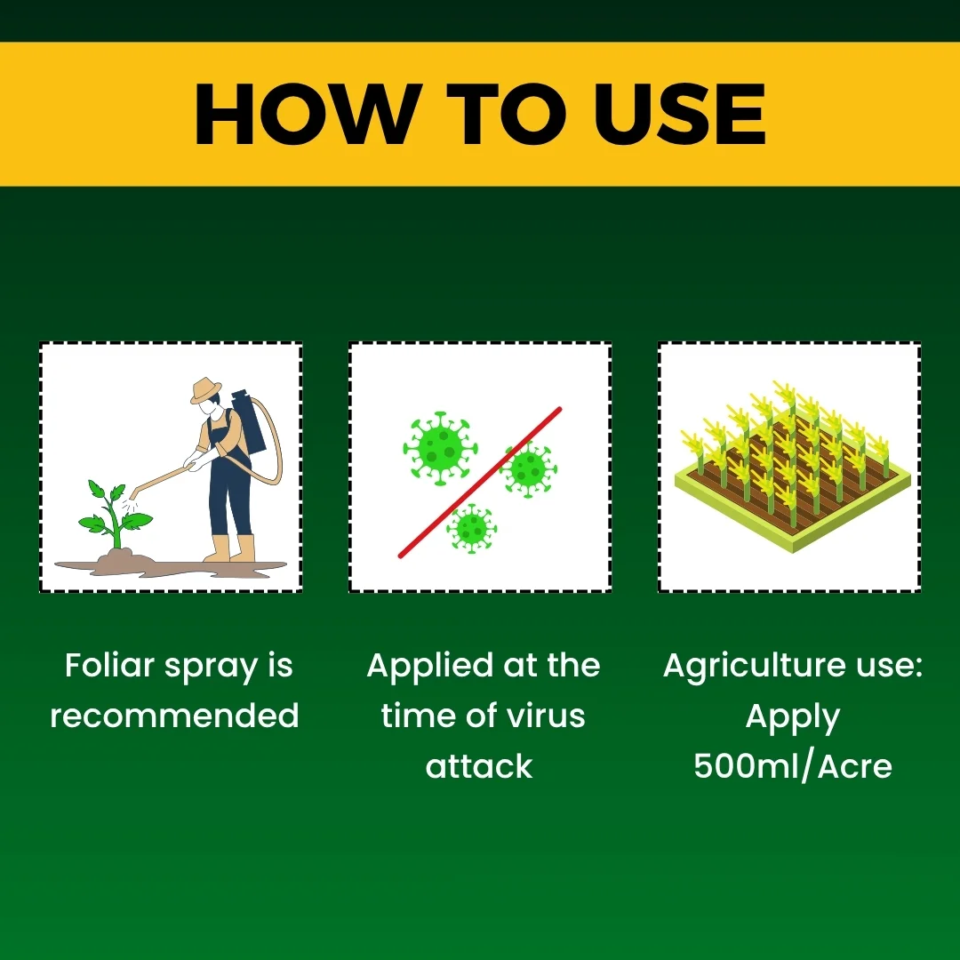 Antivirus Viricide