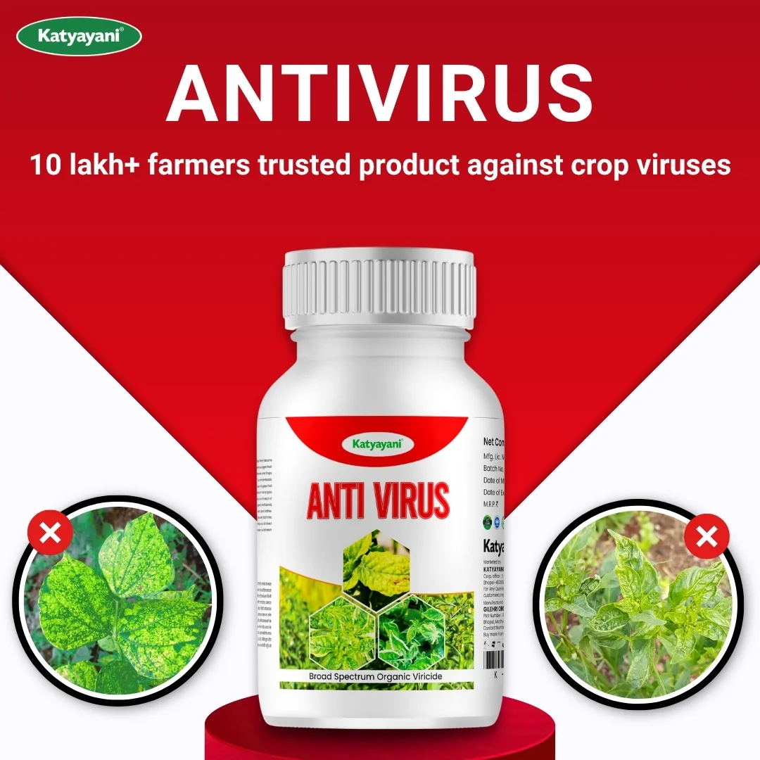 KATYAYANI ANTIVIRUS - Image 2