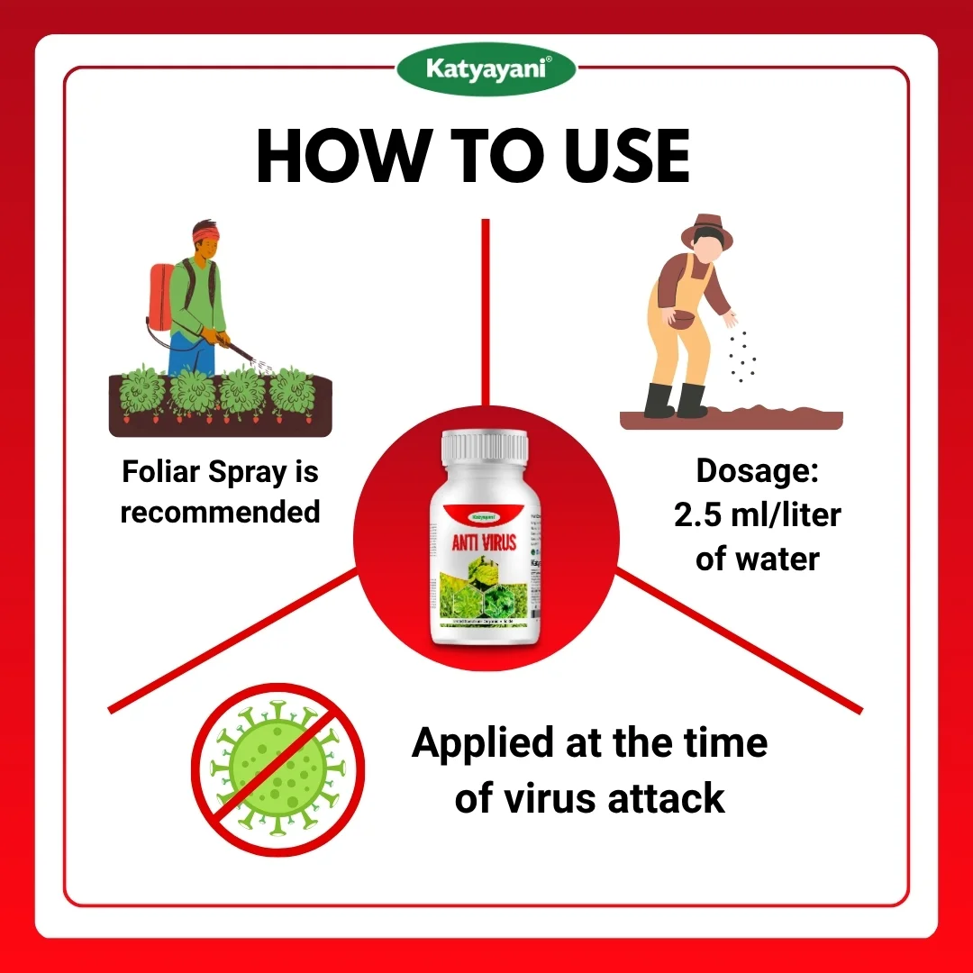 KATYAYANI ANTIVIRUS - Image 5