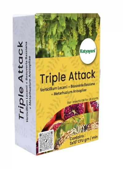 Katyayani Triple Attack (VBM - Verticillium Lecanii + Beauveria Bassiana + Metarhizium Anisopliae Bio pesticide)