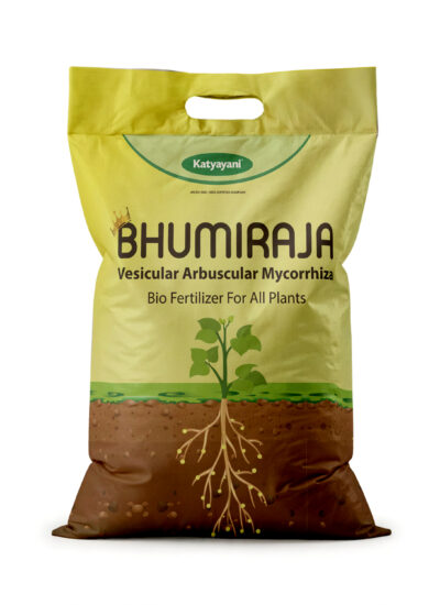 KATYAYANI BHUMIRAJA ( MYCORRHIZA)