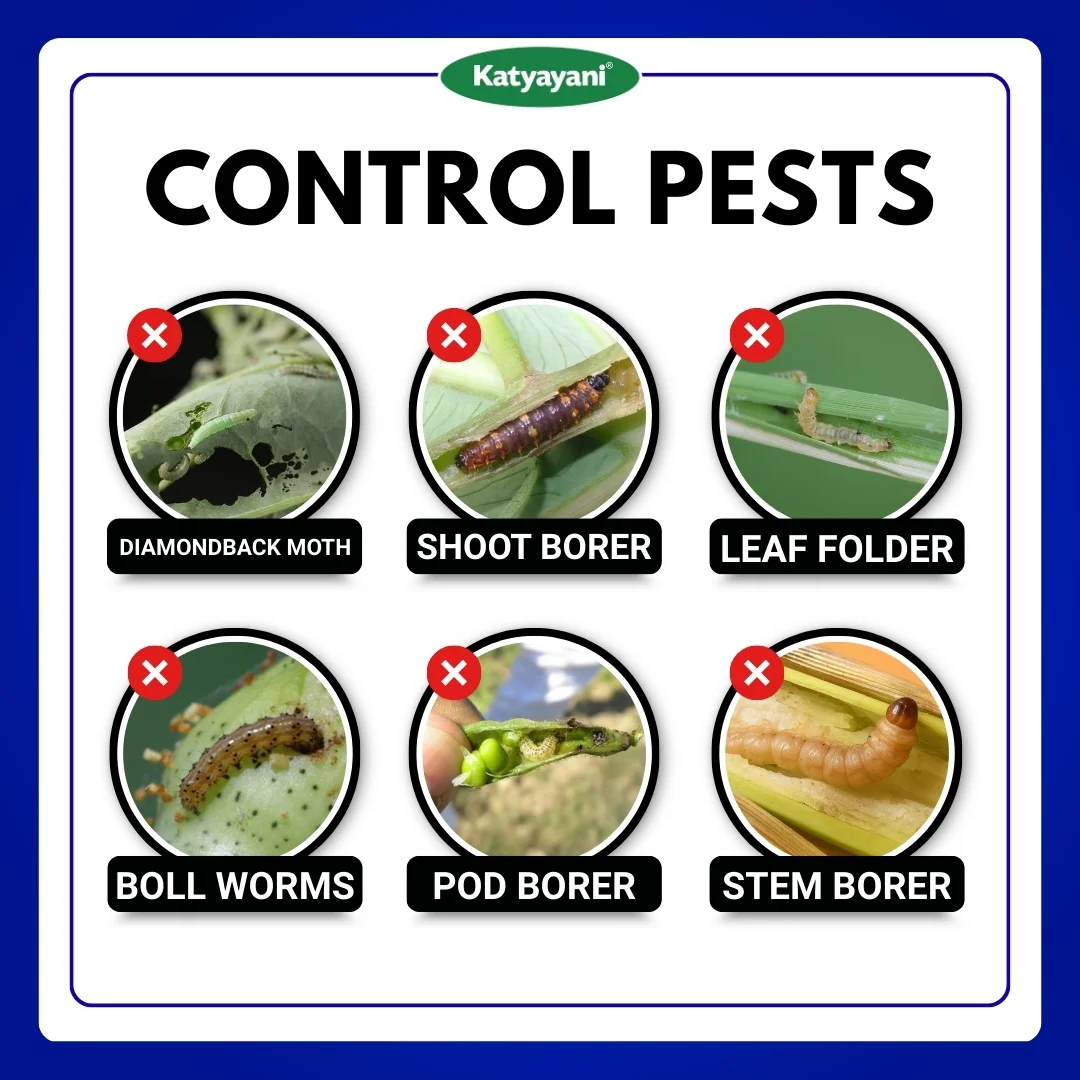 katyayani Chakraveer | Chlorantraniliprole 18.5 % SC Insecticide - Image 4