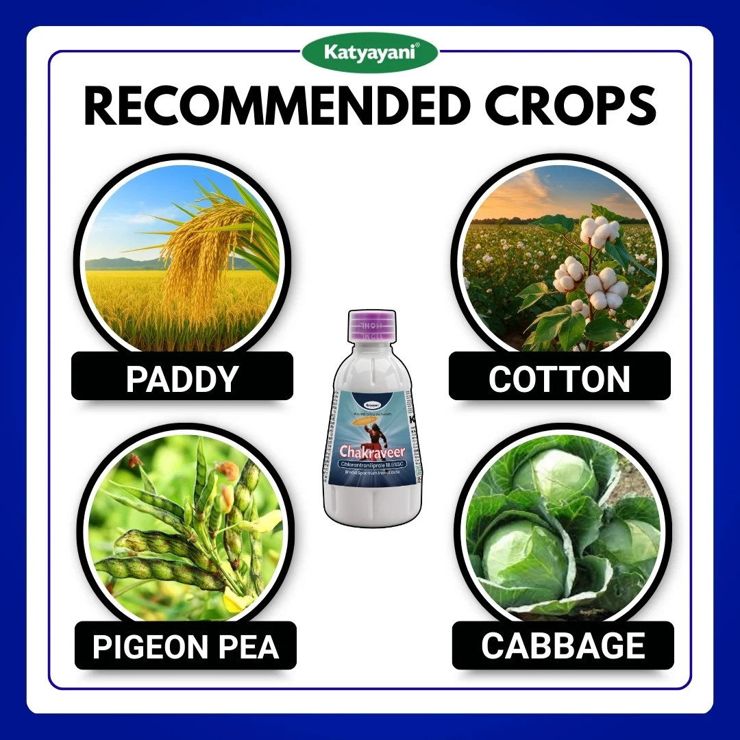 katyayani Chakraveer | Chlorantraniliprole 18.5 % SC Insecticide - Image 3