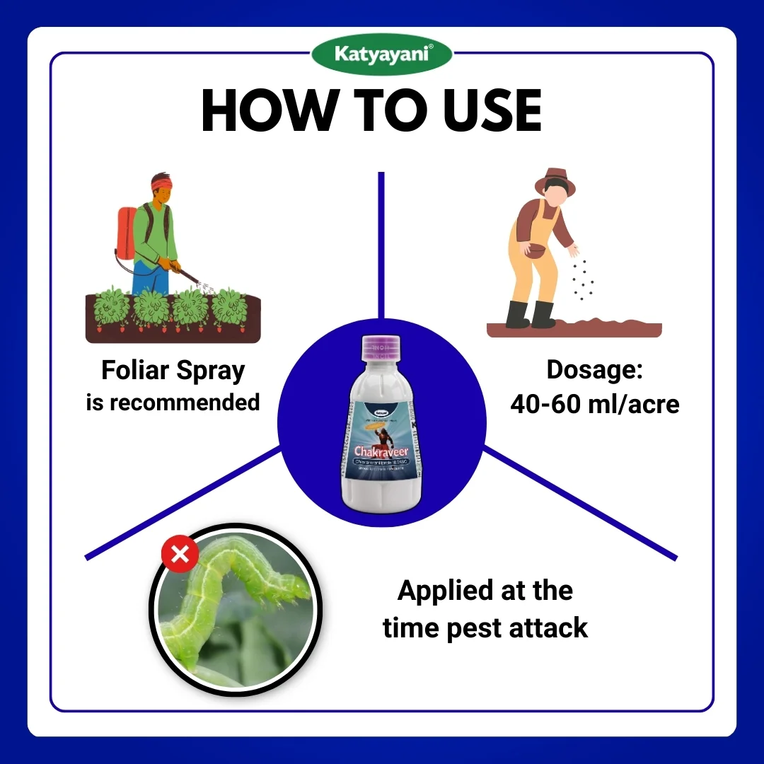 katyayani Chakraveer | Chlorantraniliprole 18.5 % SC Insecticide - Image 5