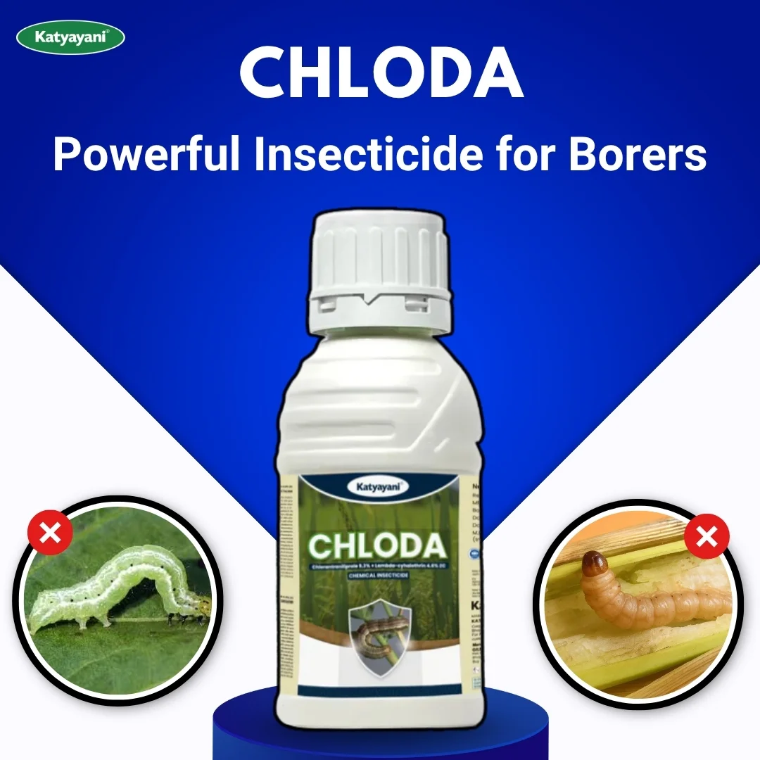 Katyayani Chloda | Chlorantraniliprole 9.3% + Lambda Cyhalothrin 4.6% ZC | Chemical Insecticide - Image 2