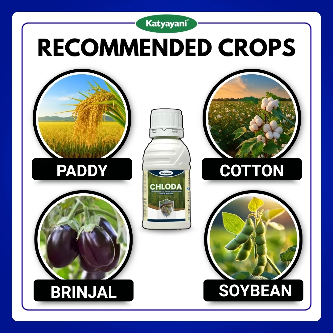 Katyayani Chloda | Chlorantraniliprole 9.3% + Lambda Cyhalothrin 4.6% ZC | Chemical Insecticide - Image 4