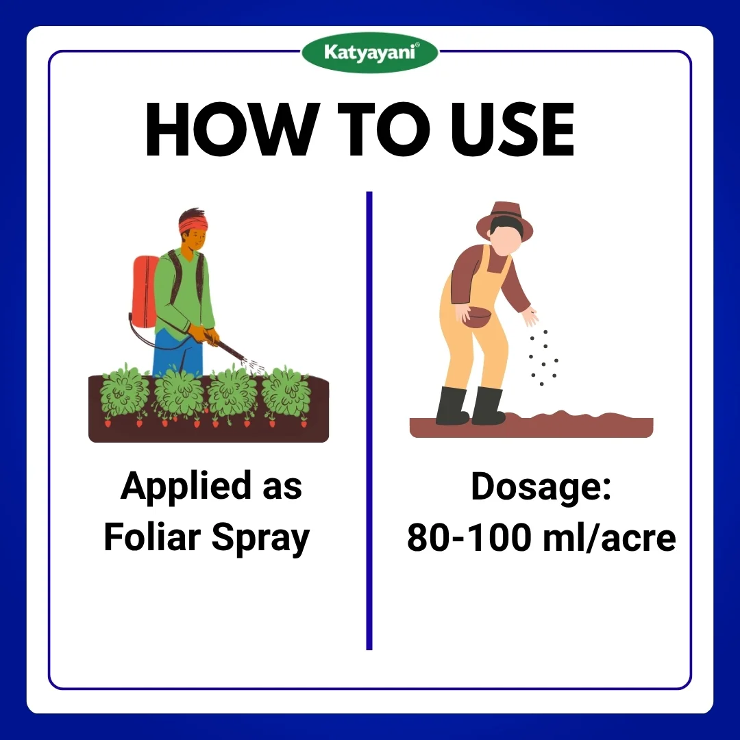 Katyayani Chloda | Chlorantraniliprole 9.3% + Lambda Cyhalothrin 4.6% ZC | Chemical Insecticide - Image 5