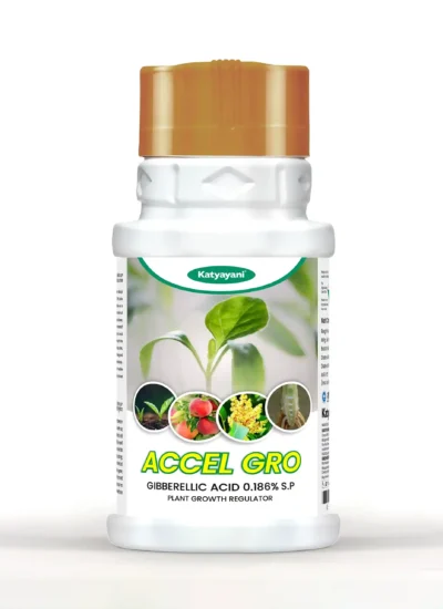 Accel gro | Gibberellic Acid 0.186% S.P | PLANT GROWTH REGULATOR