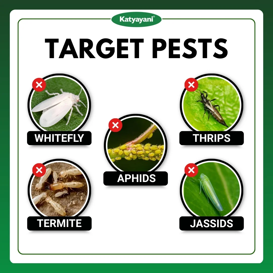 Katyayani Thioxam Super plus | 70% thiamethoxam | Chemical Insecticide - Image 4