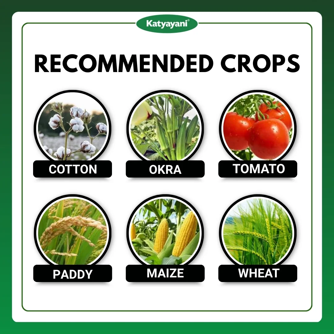 Katyayani Thioxam Super plus | 70% thiamethoxam | Chemical Insecticide - Image 3