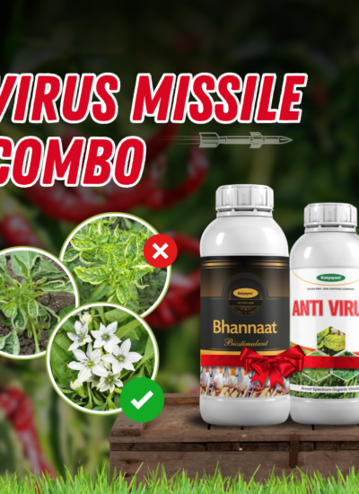 Katyayani Virus Missile Combo (Bhannat - 250 ml x 2 +Antivirus - 250 ml x 2)