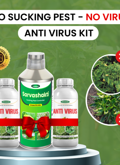 Katyayani Anti Virus Kit (Sarvashakti 250ml + Anti Virus 500ml(250ml x 2))