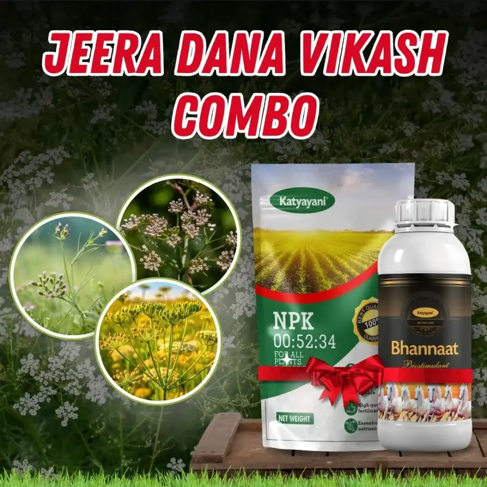 Jeera Dana Vikash Combo