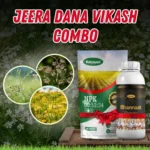 Jeera Dana Vikash Combo