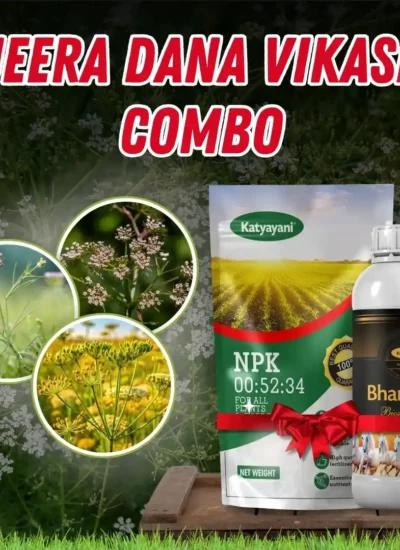 Jeera Dana Vikash Combo