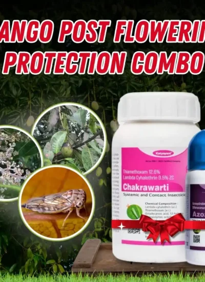 Post Flowering Protection Combo for Mango Crops