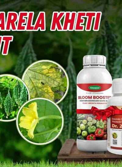 Karela Kheti Kit