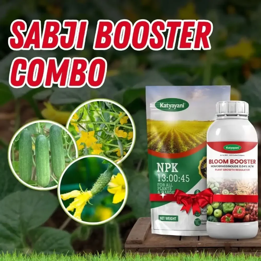 Sabji Booster Combo