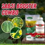 Sabji Booster Combo