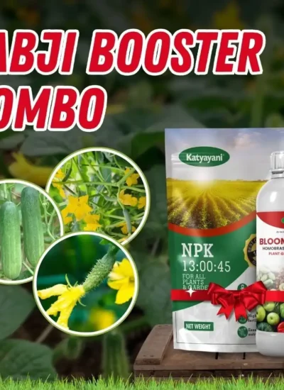 Sabji Booster Combo