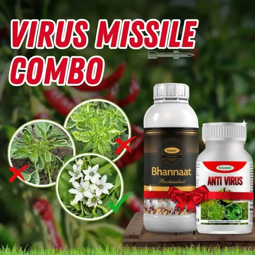 Virus Missile Combo
