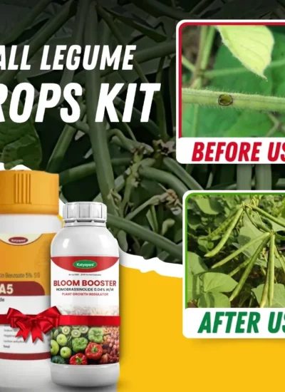 Katyayani All Legume Crops Kit