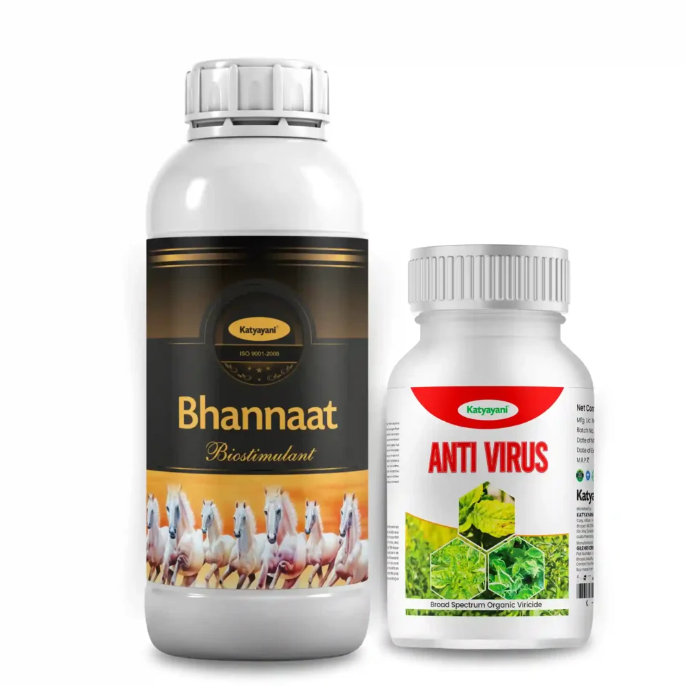 Virus Missile Combo – Dual Protection & Growth Booster for Chilli Crops