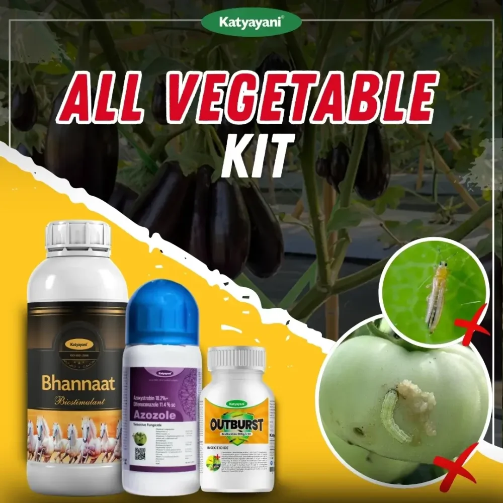 All Vegetable Kit
