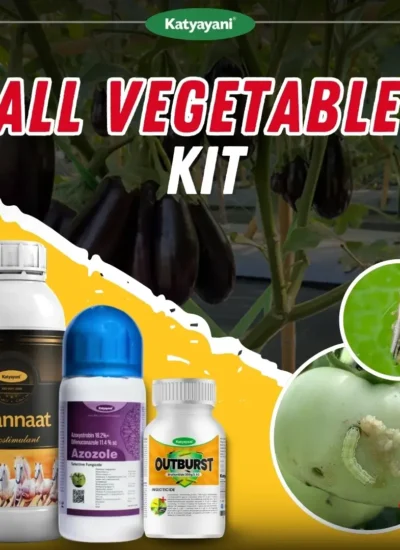 All Vegetable Kit