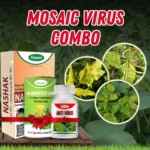 Mosaic Virus Combo Kit