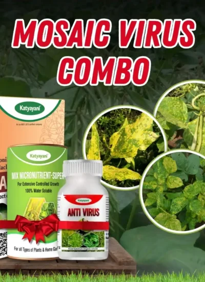 Mosaic Virus Combo Kit