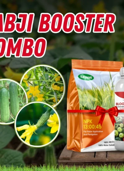 Katyayani Sabji Booster Combo – Boost Flowering, Fruit Setting, and Yield