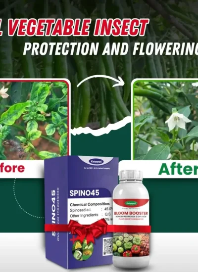 All Vegetable Insect Protection and Flowering Kit