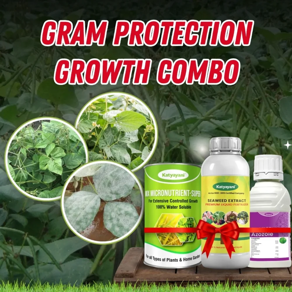 Katyayani Gram Protection + Growth Combo