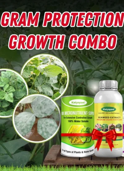 Katyayani Gram Protection + Growth Combo