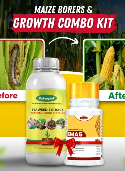 Katyayani Maize Borers & Growth Combo Kit