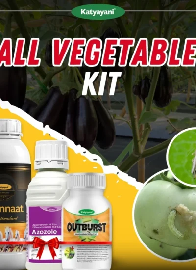 Katyayani All Vegetable Kit