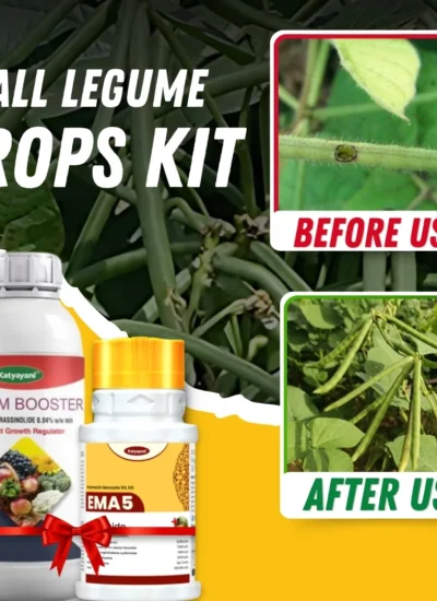 Katyayani All Legume Crops Kit