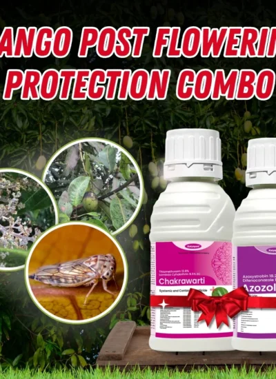 Katyayani Mango post flowering protection Combo