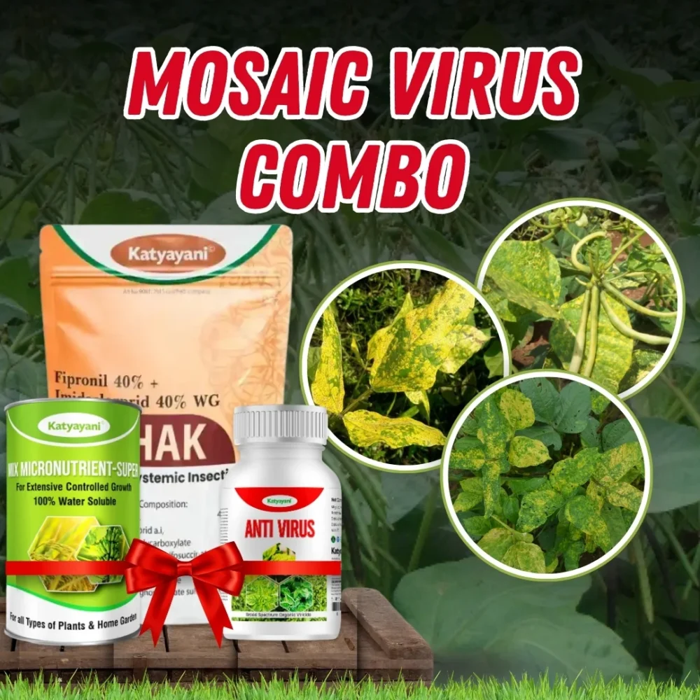 Katyayani Mosaic virus Combo