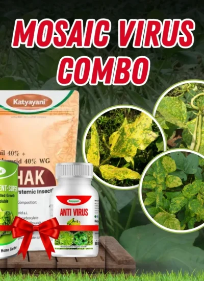Katyayani Mosaic virus Combo
