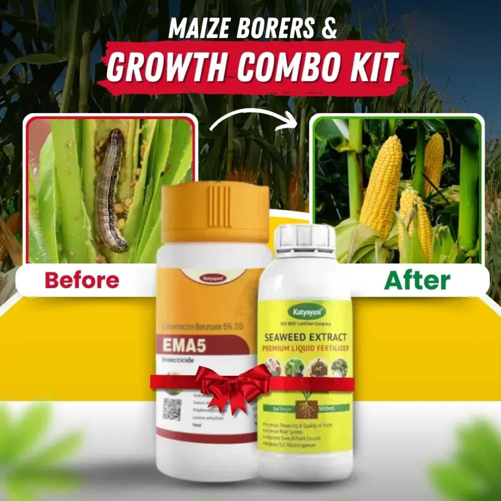 Maize Borers & Growth Combo Kit