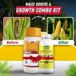 Maize Borers & Growth Combo Kit