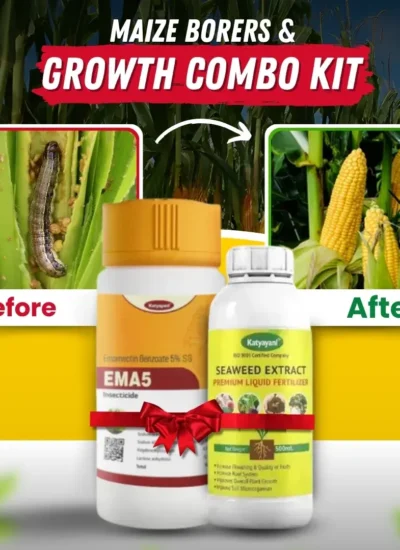 Maize Borers & Growth Combo Kit