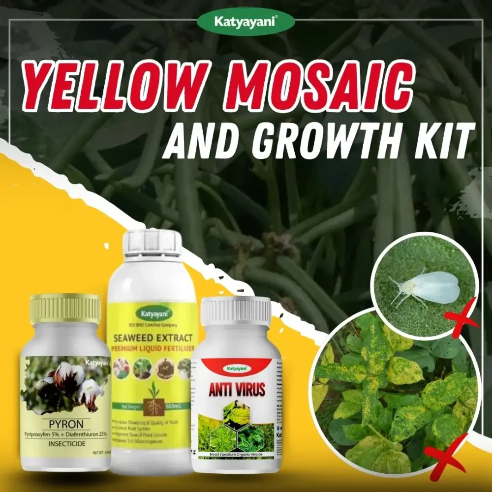 Yellow Mosaic and Growth Kit